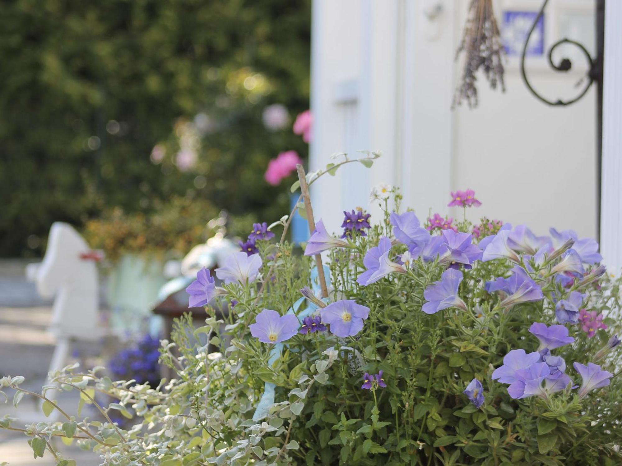 Haus Midsommer Timmendorfer Strand Exterior foto