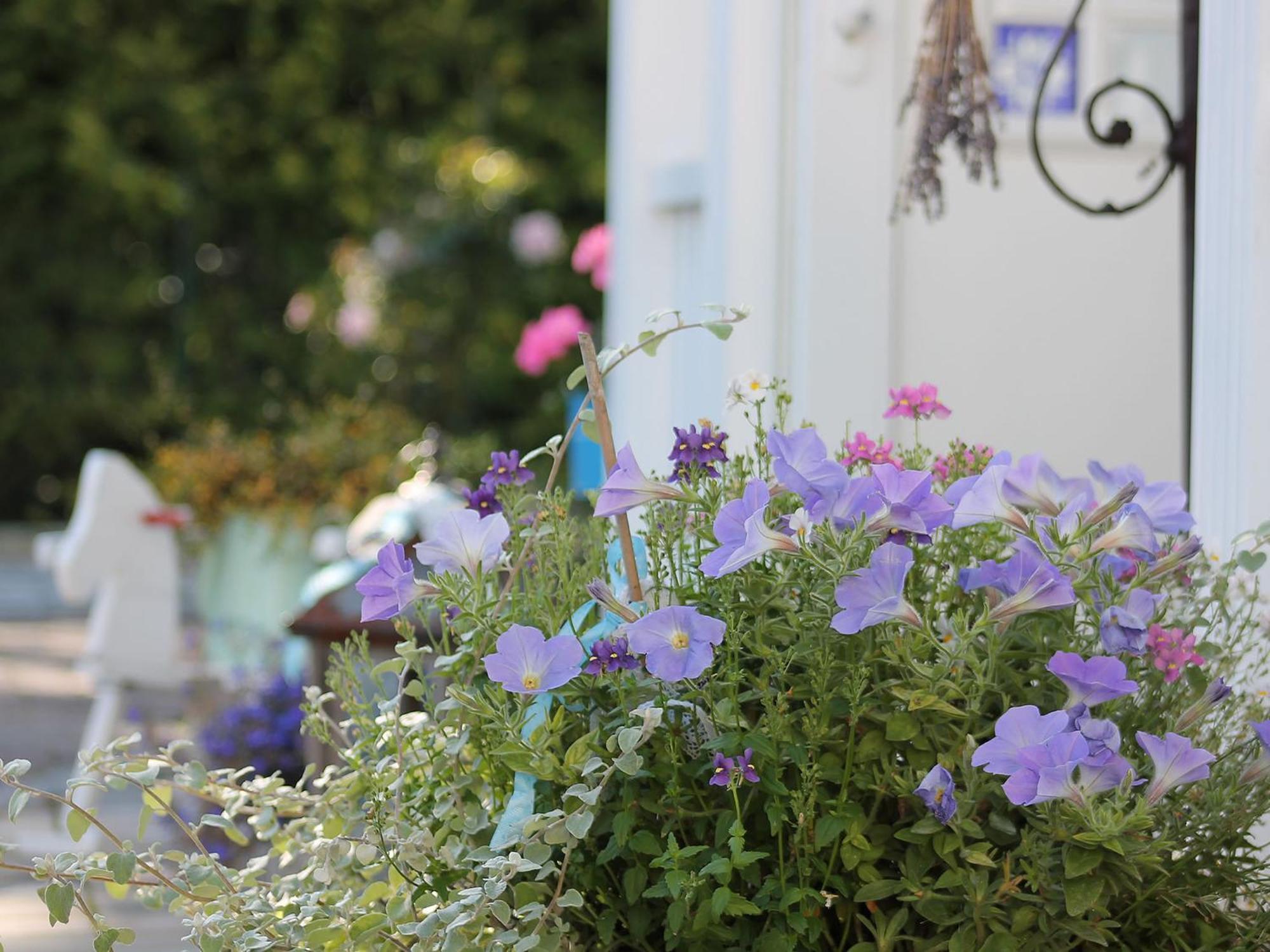 Haus Midsommer Timmendorfer Strand Cameră foto